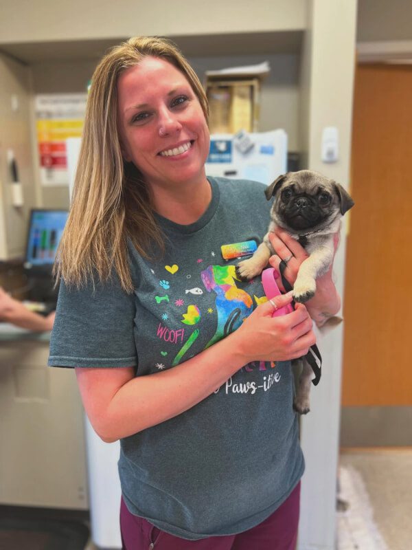 Female Holding Small Pug Dog