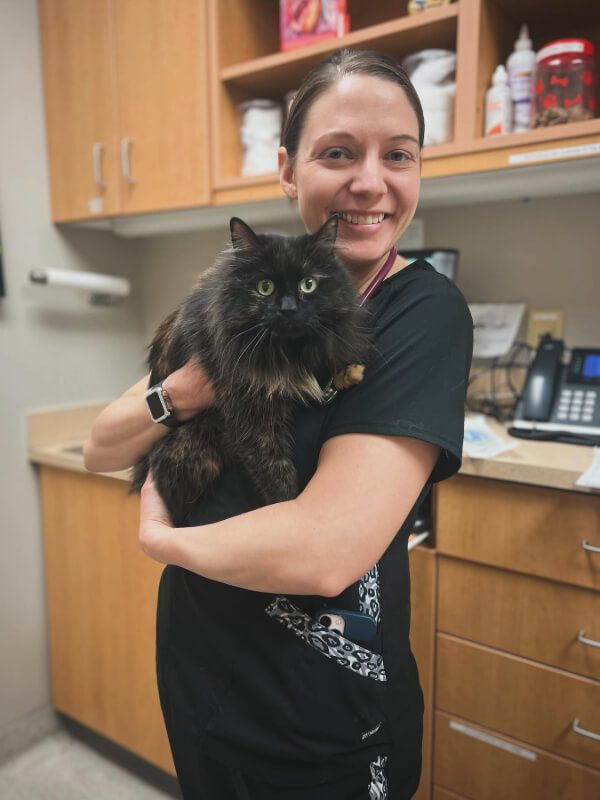 Female In Black Scrubs Holding Black Cat