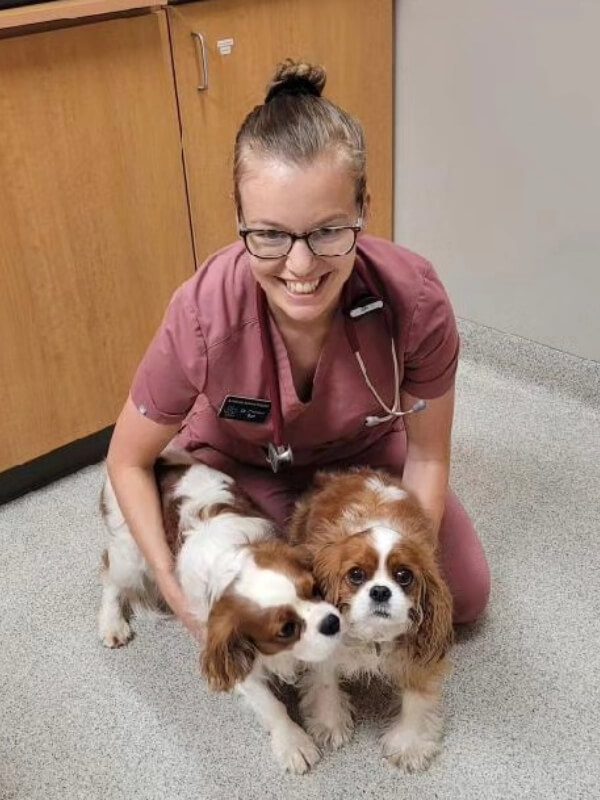 Female Posing With 2 Cocker Spaniels