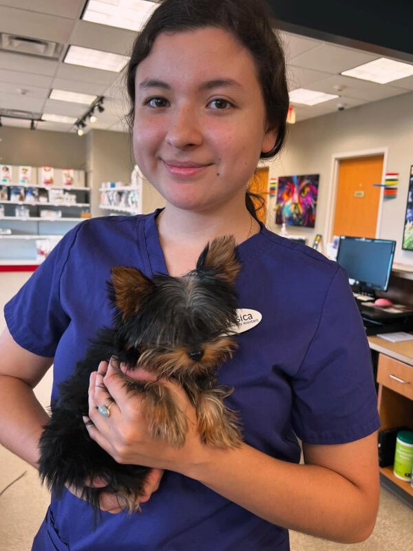 Female Wearing Purple Shirt Holding Small Yorkie