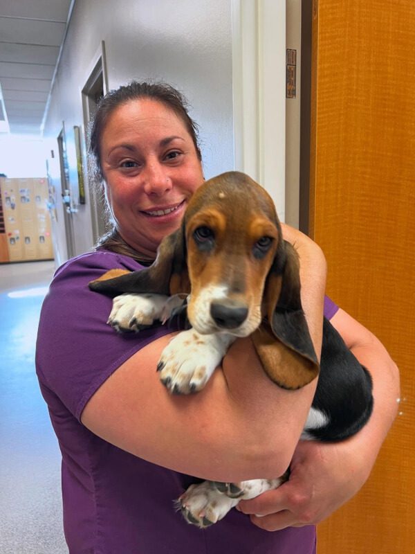 Woman Holding Hound